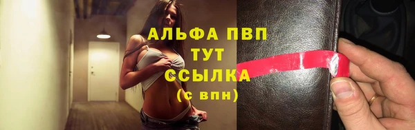 стафф Аркадак