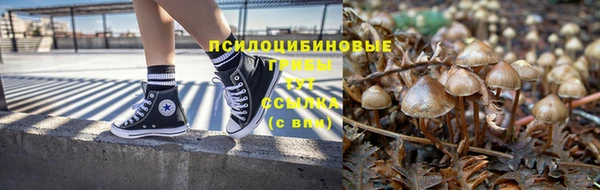 Альфа ПВП Арсеньев